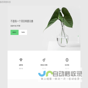 振权网络科技